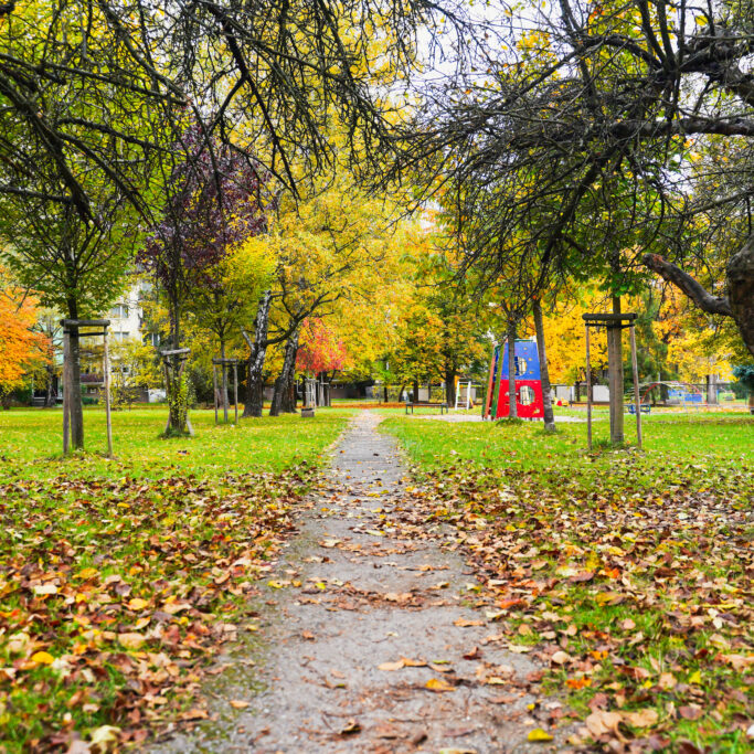 Revitalizácia vnútrobloku Lichardova