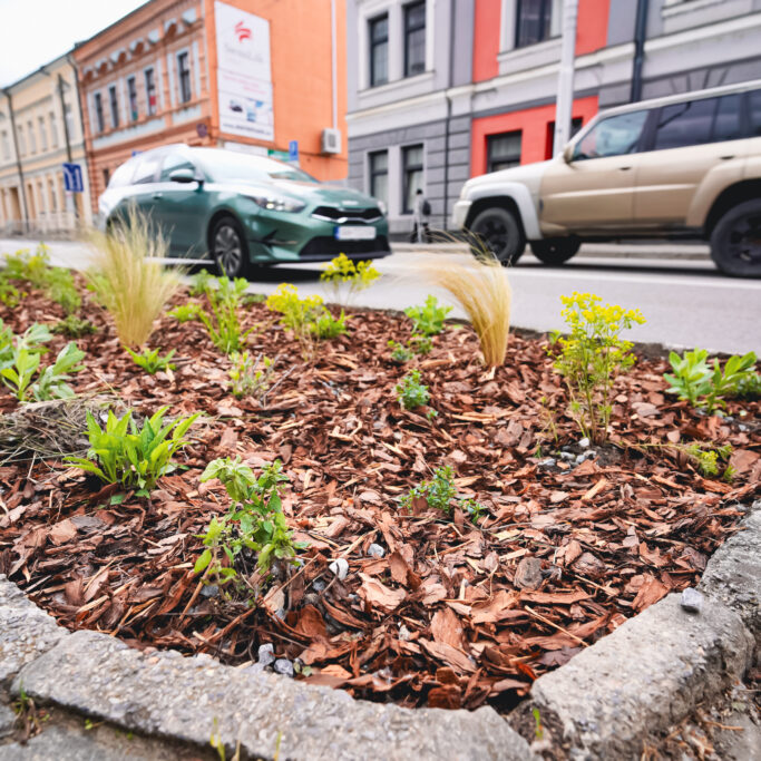 V meste pribúda nová zeleň, obnovujú sa trávniky, parky a dreviny